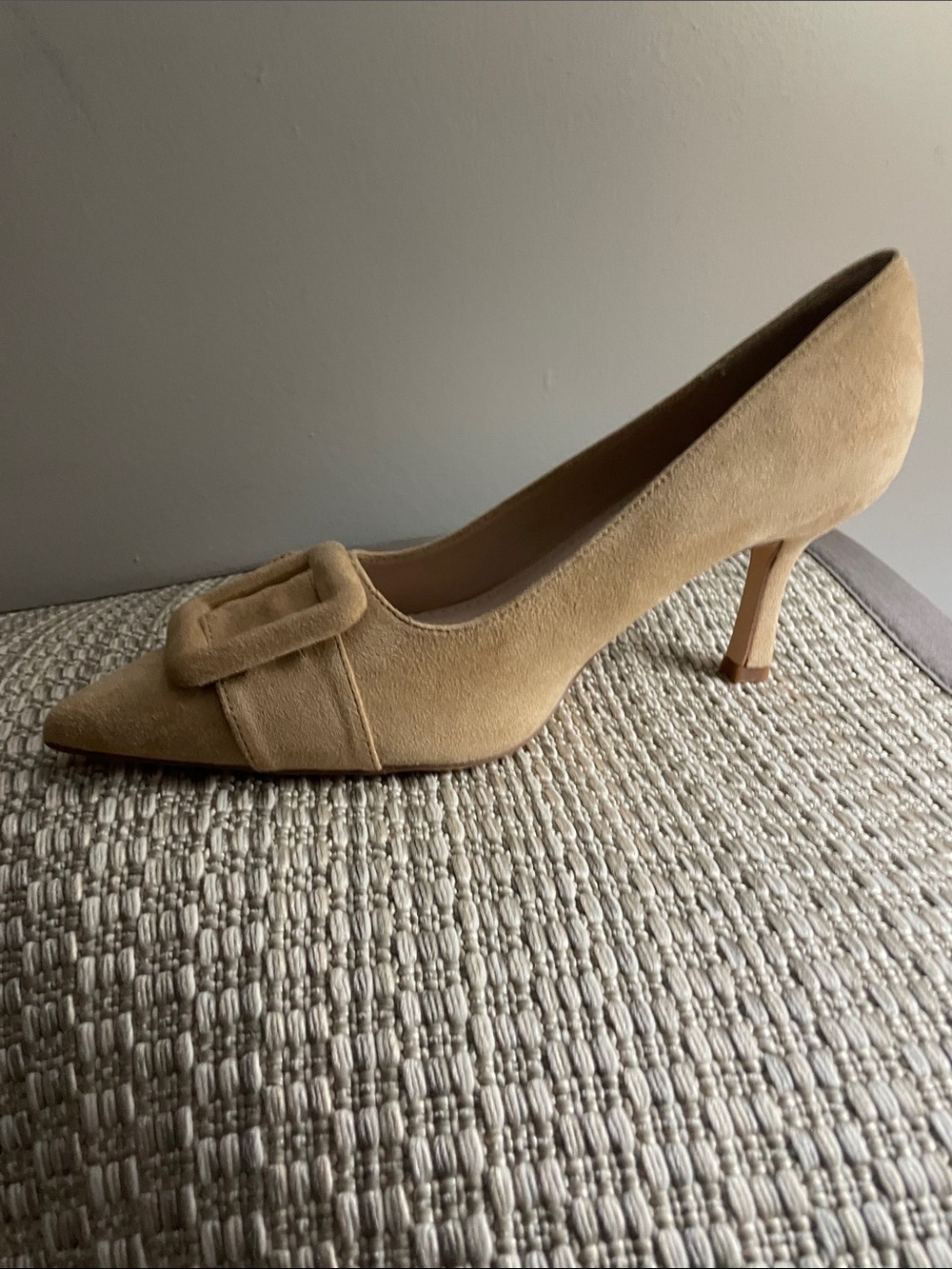 Classic Pointed-Toe Buckle Pumps in Beige